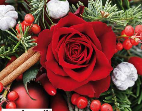 20 Servietten / Napins 33 x 33 cm   Red Rose with Fir Brunia   Christmas