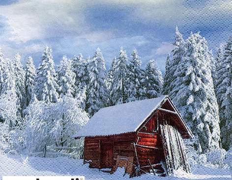 20 obrúskov 33 x 33 cm slnečné zimné ráno Vianoce