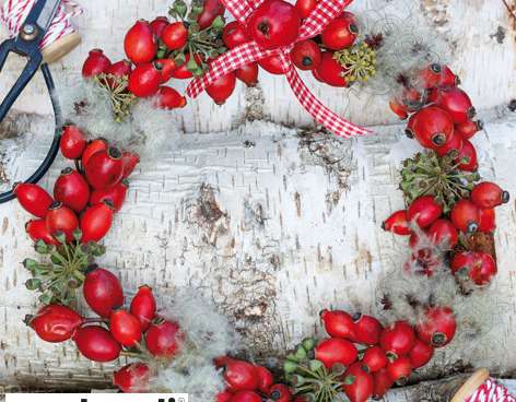 20 napkins 33 x 33 cm Wreath of Rose Hips Christmas