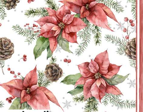 20 obrúskov 24 x 24 cm Poinsettia & Borovicová šiška Vianoce