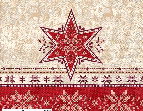 20 serviettes de table 24 x 24 cm Hivernale rouge Noël
