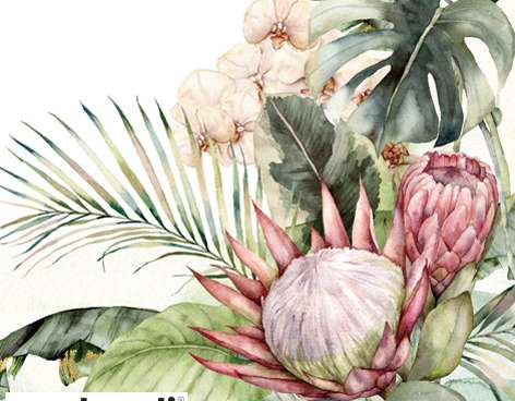 20 salvrätikut 33 x 33 cm Protea &; Orhideed igapäevaselt