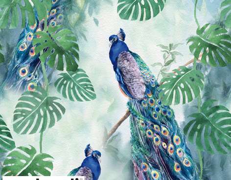 20 napkins 33 x 33 cm Peacock Paradise Everyday
