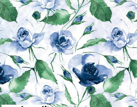 20 servetėlių 24 x 24 cm Miltelinės rožės mėlynos Kasdien