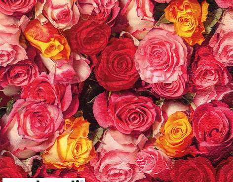 20 napkins 33 x 33 cm Rosas Coloridas Everyday