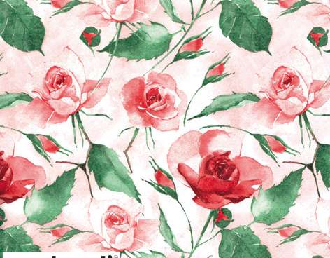 20 napkins 33 x 33 cm Powdery Roses red Everyday