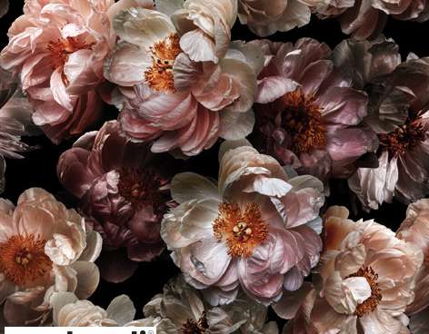 20 guardanapos 33 x 33 cm Rosas Selvagens Vitorianas Todos os Dias