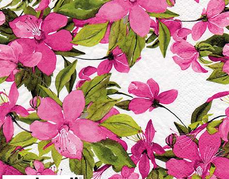 20 napkins 24 x 24 cm Flowering Clematis pink Everyday