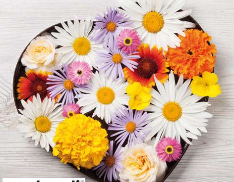 20 serviettes de table 33 x 33 cm Flores de Corazon Everyday