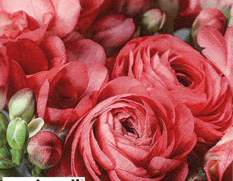 20 servetele 33 x 33 cm frezii &; persane Buttercup rosu In fiecare zi