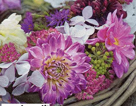 20 servilletas 33 x 33 cm Flores Purpura en Guirnalda Everyday