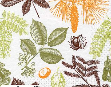 20 serviettes de table 33 x 33 cm Forest Leaves & Fruits Everyday