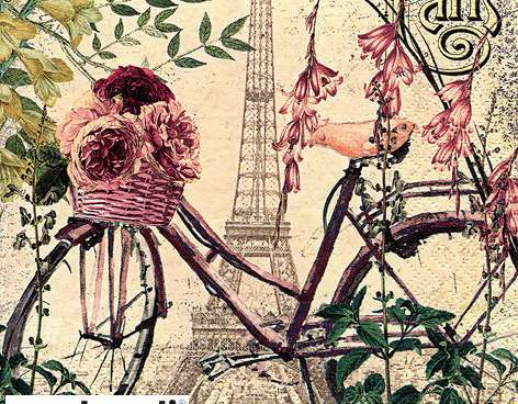 20 napkins 33 x 33 cm Vélo à Paris Everyday