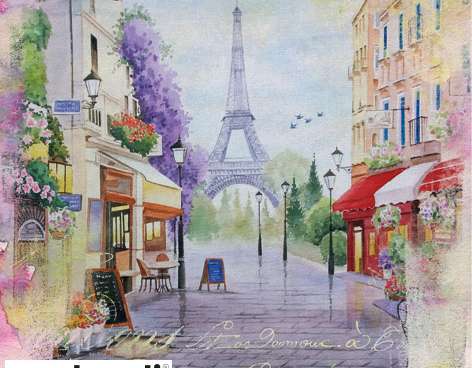 20 serviettes de table 33 x 33 cm Quartier Marais en Paris Everyday