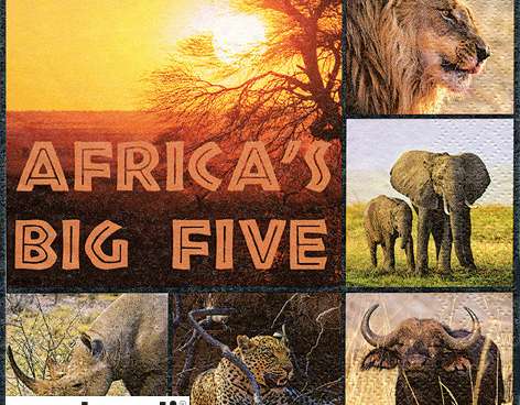 20 napkins 33 x 33 cm Africa's Big Five Everyday