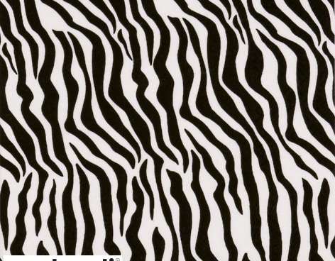 20 serviettes 33 x 33 cm Zebra Pattern noir blanc Everyday