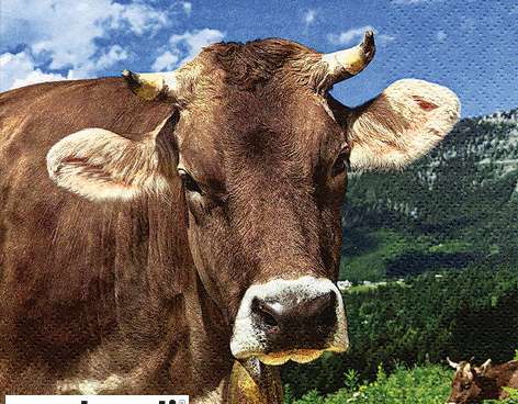20 Servietten / Napins 33 x 33 cm   Cow Wally   Everyday