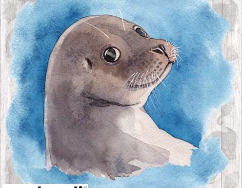 20 lautasliinaa 33 x 33 cm Sea Seal Everyday