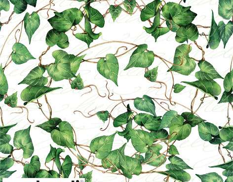20 servetter / servetter 33 x 33 cm Gröna murgröna grenar varje dag
