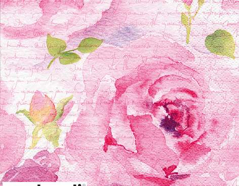 20 servietter 24 x 24 cm Rosa Delicada rosa hver dag
