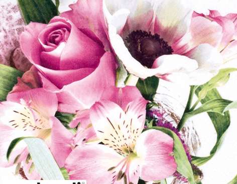 20 салфеток 24 x 24 см Fleurs Délicates Everyday