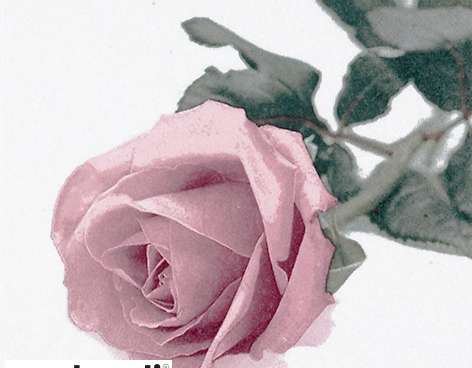 20 Servietten / Napins 24 x 24 cm   Rosa Nobile Vintage rosé   Everyday