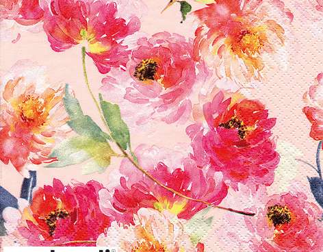 20 servietter 24 x 24 cm Sommerroser rosé Hver dag