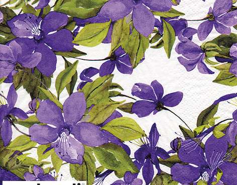 20 napkins 24 x 24 cm Flowering Clematis lilac Everyday
