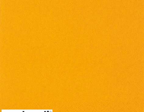 20 Servietten / Napins 33 x 33 cm   UNI orange   Everyday