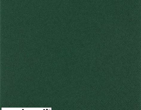 20 Servietten / Napins 33 x 33 cm   UNI emerald green   Everyday