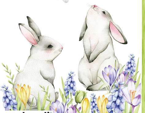 20 servetter 33 x 33 cm kaniner våren våren 2024