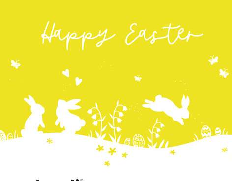 20 Servietten / Napins 33 x 33 cm   Happy Easter Bunnies yellow   Spring 2024