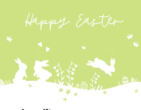 20 Servietten / Napins 33 x 33 cm   Happy Easter Bunnies green   Spring 2024