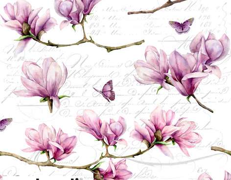 20 servietter 33 x 33 cm Magnolia & sommerfugl forår 2024