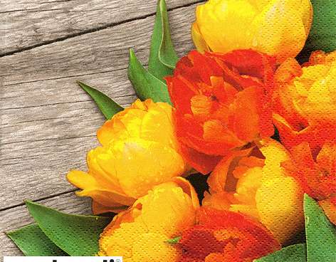 20 Servietten / Napins 33 x 33 cm   Colorful Bouquet of Tulips   Spring 2024
