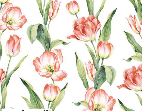 20 salvetes 24 x 24 cm Chaînes de Tulipes sarkans 2024. gada pavasaris
