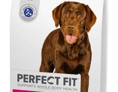 PERF. FIT DOG ADULT M/L KUŘE 6KG BT