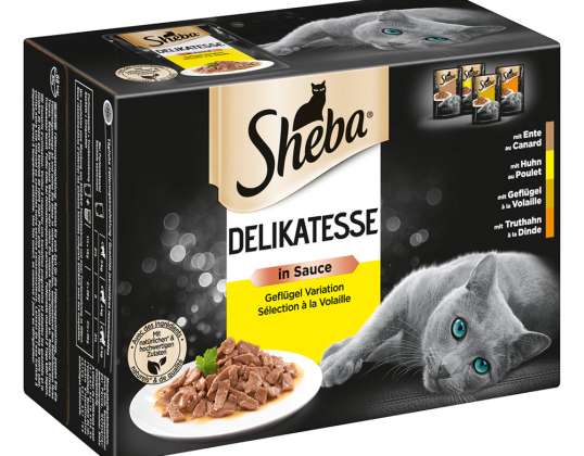 SHEBA DELICADO MOLHO AVES 12X85G P