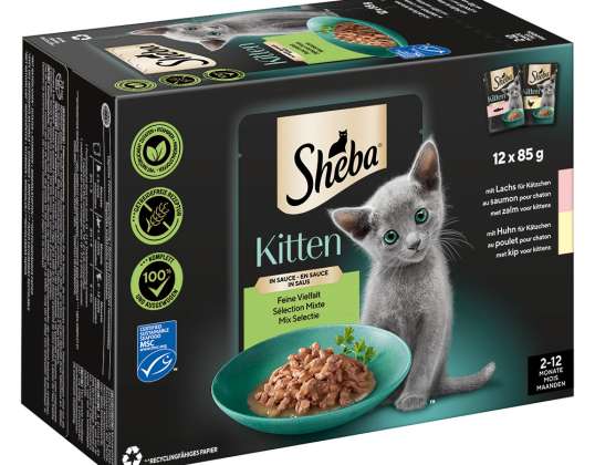 SHEBA MP KITTEN SAUCE 12X85G