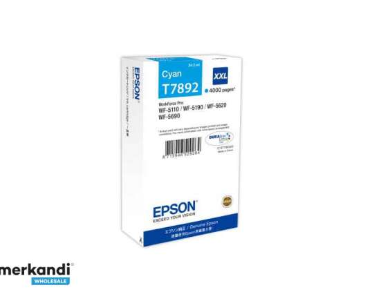 Epson XXL Camgöbeği 4k Tintenpatrone C13T789240