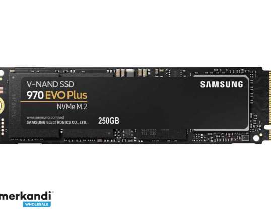 Samsung Electronics NVMe SSD 970 Evo Plus 250 GB MZ-V7S250BW