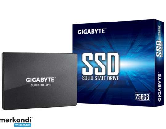 GIGABYTE SSD 256GB Sata3 2 5 GP GSTFS31256GTND
