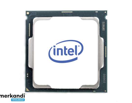 Intel CPU Xeon E-2286G/4.0 GHz/UP/LGA1151v2 Tray CM8068404173706