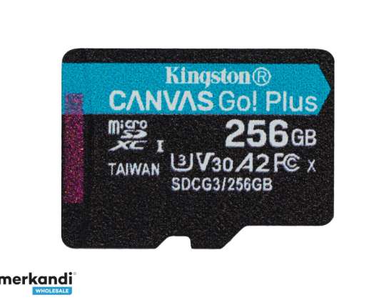 „Kingston Canvas Go“! Plius „MicroSDXC 256GB UHS-I SDCG3 / 256GBSP“