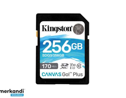 Kingston Canvas Go! Plus SDXC 256 GB UHS-I SDG3 / 256 GB