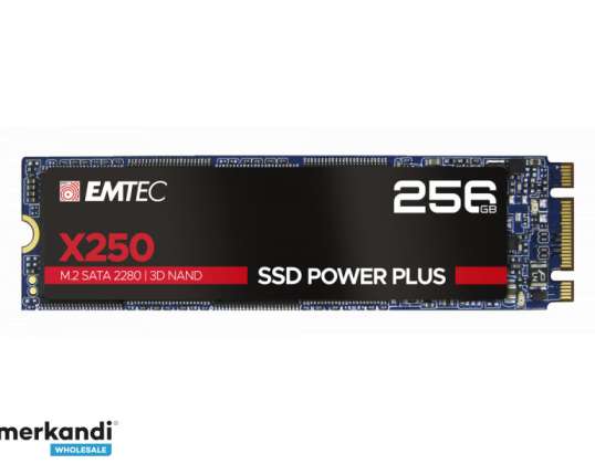 Emtec iekšējais SSD X250 256GB M.2 SATA III 3D NAND 520MB/sec ECSSD256GX250