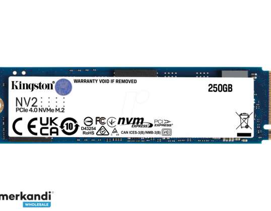 Kingston SSD M.2 250 GB NV2 2280 PCIe 4.0 NVMe SNV2S/250G