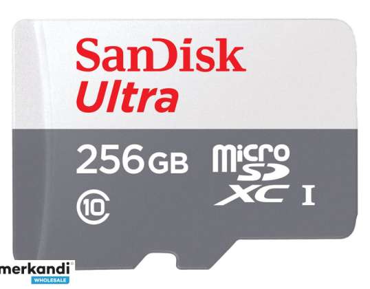 SanDisk microSDXC 256 Go Ultra Lite 100 Mo/s CL 10 UHS-I SDSQUNR-256G-GN3MN