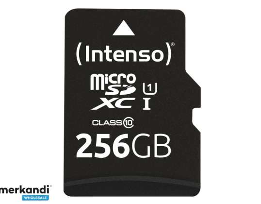 Intenso UHS-I-ytelse 256 GB microSDXC, minnekort - 3424492