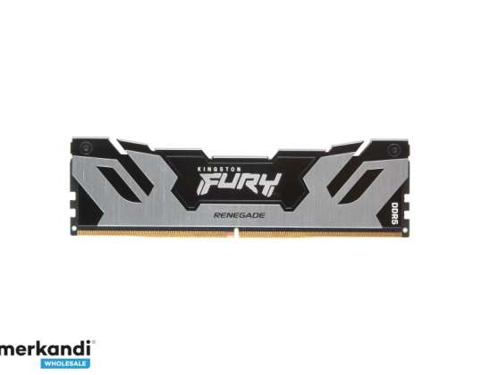 Kingston Fury Renegade 16GB 6000MHz DDR5 CL32 Zilver KF560C32RS-16